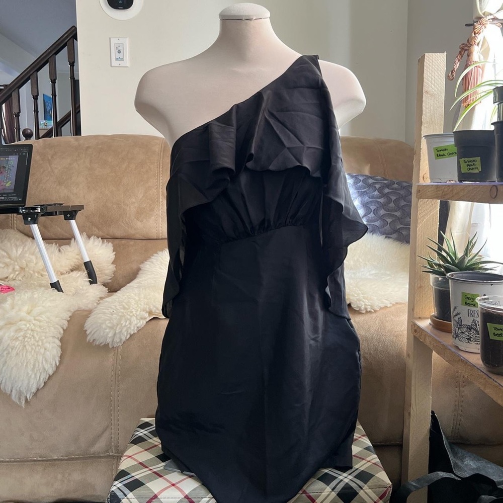 Susana Monaco dress